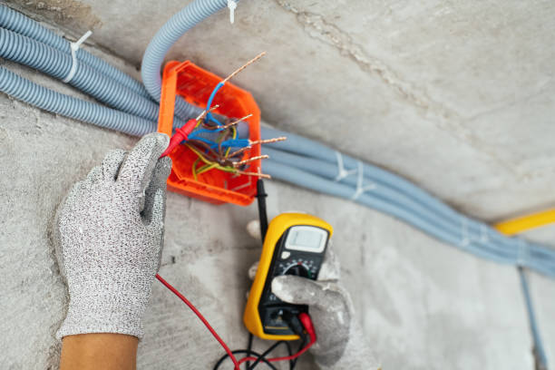 Best Home Electrical Repair  in South Roxana, IL