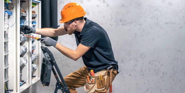Best Electrician for Home Renovation  in South Roxana, IL